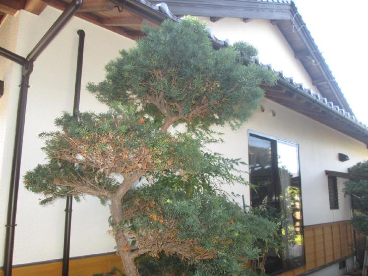 変換 ~ IMG_9069.jpg