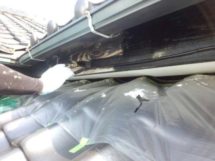 変換 ~ IMG_9655.jpg