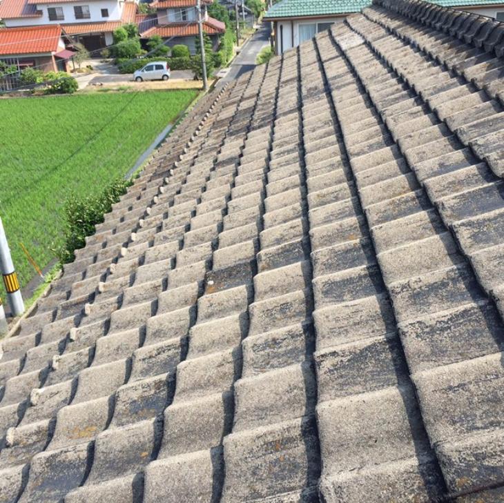 変換 ~ IMG_9667 (1).jpg