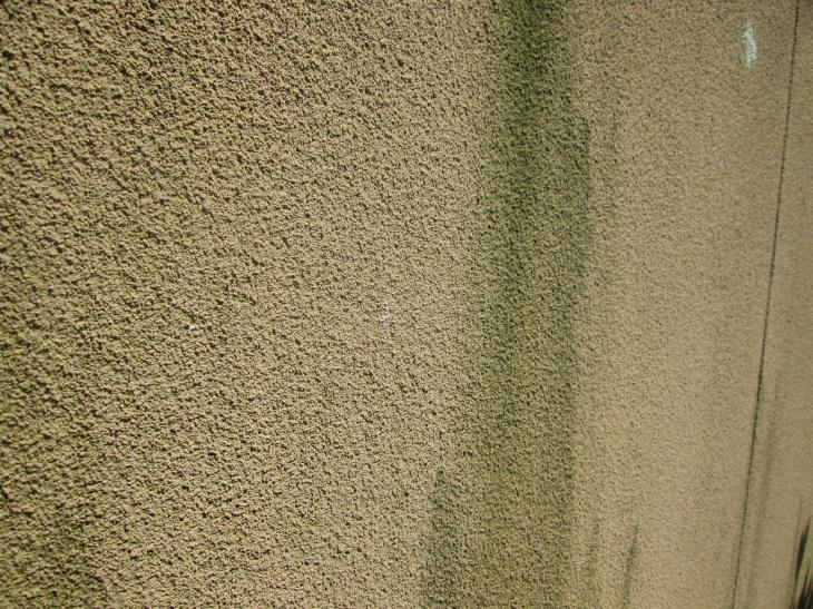 変換 ~ IMG_9877.jpg