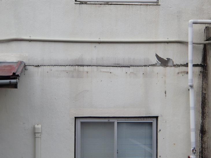 変換 ～ P3140030.jpg