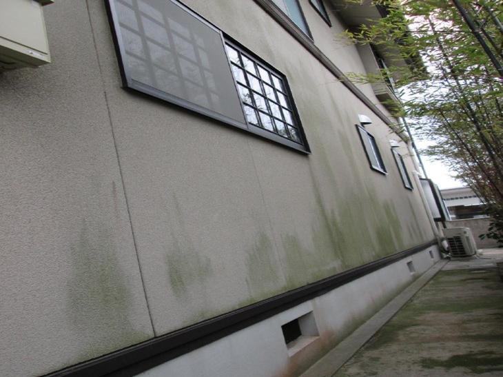 変換 ～ miyansekoumae (13).jpg