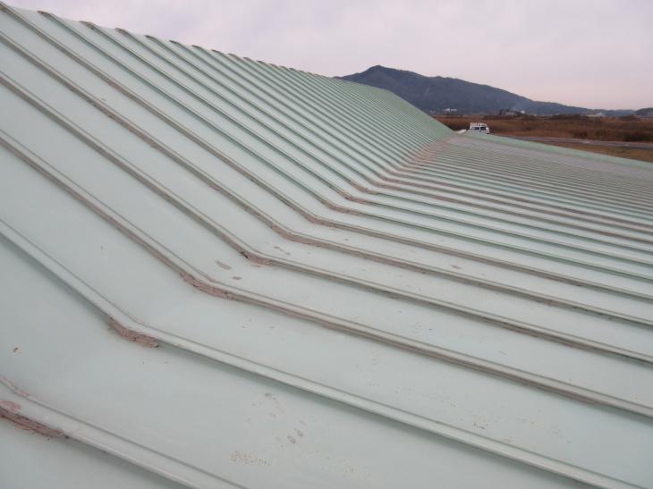 既存屋根 (5).jpg