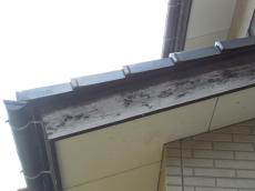 変換 ～ 変換 ～ DSCN6365.jpg