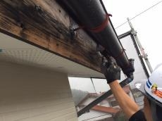 変換 ～ 変換 ～ IMG_2579-1.jpg