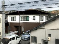 変換 ~ 本物1.jpg