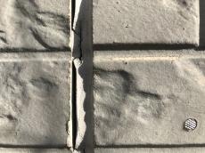 変換 ~ IMG_2041.jpg