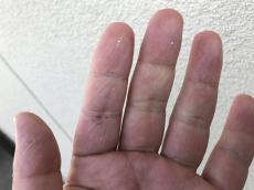 変換 ~ IMG_2295.jpg