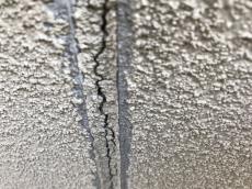 変換 ~ IMG_2305.jpg