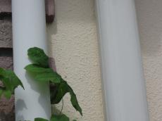 変換 ～ IMG_3352.jpg