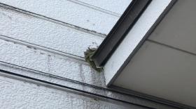 変換 ~ IMG_8133.MOV.jpg