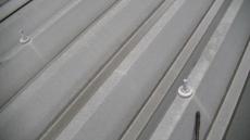 変換 ~ PIC_0237-1.jpg