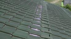 変換 ~ PIC_0259.jpg