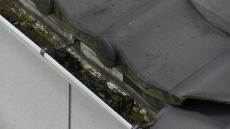 Ｋ様変換 ～ 3.jpg