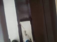 Ｍ様中変換 ～ ７ (3).jpg