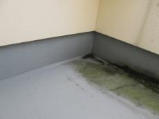 Ｙ様前変換 ～ １ (5).jpg