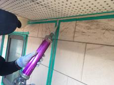 0804minari sekoutyuu 07.jpg