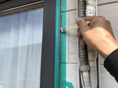 0804minari sekoutyuu 16.jpg