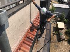 0804minari sekoutyuu 34.jpg