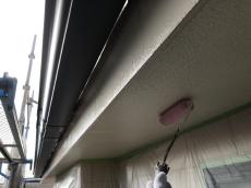 0804minari sekoutyuu 46.jpg