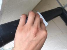 0804minari sekoutyuu 52.jpg