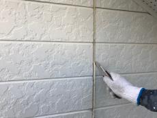 1101mihosamsekou 011.jpg