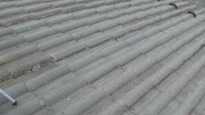 1124iruma-regenntyou 005.jpg