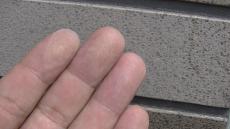 1124iruma-regenntyou 027.jpg