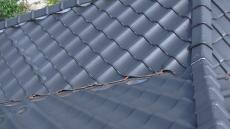 1206iwasaki genntyo004.jpg