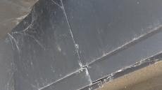 1206iwasaki genntyo012.jpg