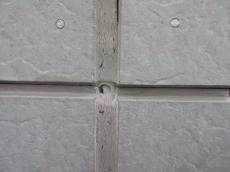 20170806-Asama-mae 03.jpg