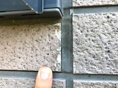 20190325genntyou 007.jpg