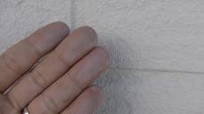 20190325genntyou 037.jpg