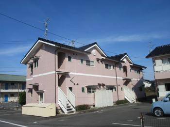 20190530riaraizu001.jpg