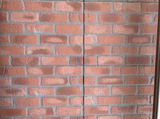 201960524yosimotoi genntyou006.jpg