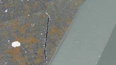 変換 ～ 20211221現調 事例　Ｉ様　小山　毛利　外壁塗装　植栽000036.jpg