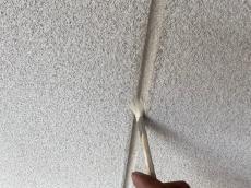 変換 ～ 20210729tsamayuzuhadamourisekou3000043.jpg