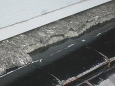 変換 ～ 20210718osamamorutarujirei03.jpg