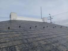 変換 ～ 施行前　20220811　ｓ様　事例　毛利店長　屋根　Tルーフ000004.jpg