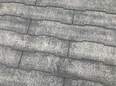 変換 ～ 20211221施工中 事例　Ｉ様　小山　毛利　外壁塗装　植栽000013.jpg