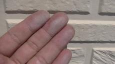 変換 ～ 20211221現調 事例　Ｉ様　小山　毛利　外壁塗装　植栽000041.jpg