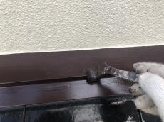 変換 ～ 20210729tsamayuzuhadamourisekou3000029.jpg