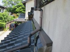 変換 ～ 20210729tsamayuzuhadamourisekou2000017.jpg