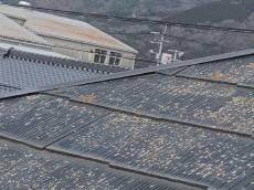 変換 ～ 施行前　20220811　ｓ様　事例　毛利店長　屋根　Tルーフ000006.jpg