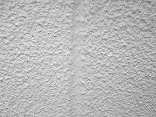 変換 ～ 20210729tsamayuzuhadamourisekou1000004.jpg