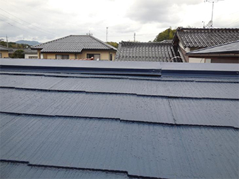 折り込み広告が目にとまり、気になって相談しようと思いました。