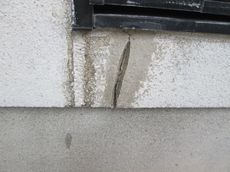 変換 ～ IMG_6697.jpg