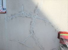 変換 ～ IMG_6711.jpg