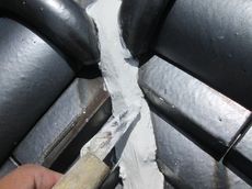 変換 ～ IMG_6938.jpg