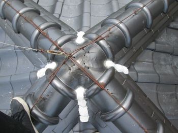 変換 ～ IMG_6943.jpg